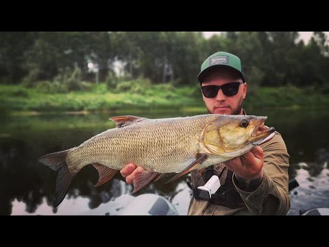 Видео: Рыбалка на Жереха! Сплав по реке!