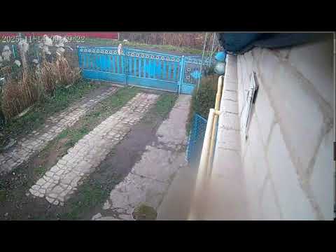 Видео: П'ятниця