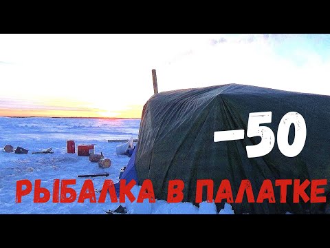 Видео: ВСЯ РЫБА ТУТ НЕ ВЫХОДЯ ИЗ ПАЛАТКИ!!! ГЛУХОЗИМЬЕ? Рыбалка в палатке в -50