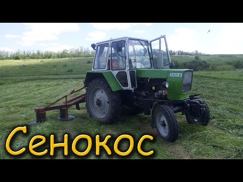 Видео: Заготовка СЕНА на новом Тракторе ЮМЗ-6 из косилкой виракс 1.65   2022г.