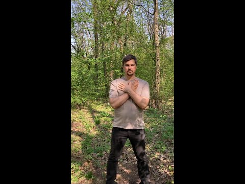 Видео: ПРАКТИКА «КРИЛА МЕТЕЛИКА»