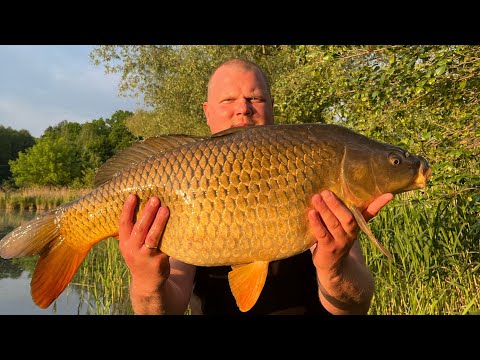 Видео: Майские карпы! Карп монстр оторвал снасть! Суточная рыбалка на карпа 2024!