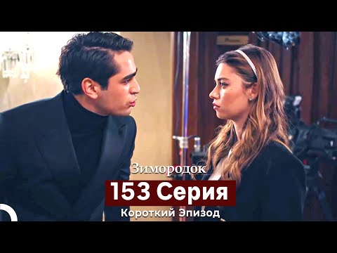 Видео: Зимородок 153 Cерия (Короткий Эпизод) (Русский дубляж)