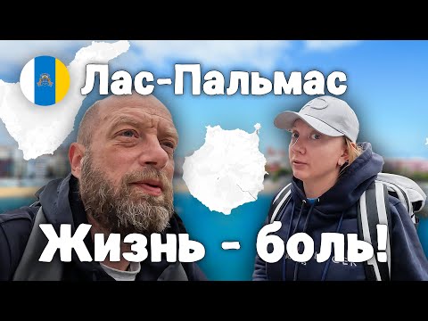 Видео: Канарское утро | Винный облом | Рецепт салата | Собаки и хозяева в Испании