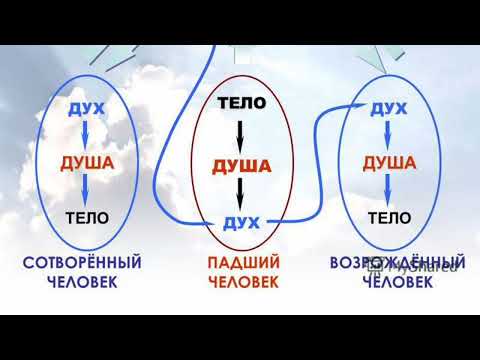 Видео: Проповедь - 23 воскресенье 2024 - кс. Виктор Ханько - Мосты