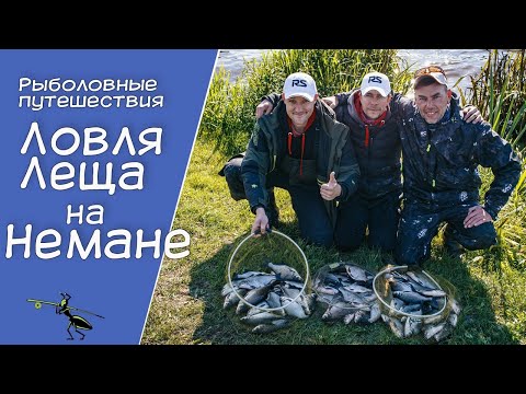 Видео: Рыбалка на Немане. Ловля леща в октябре. Путешествия с фидером!