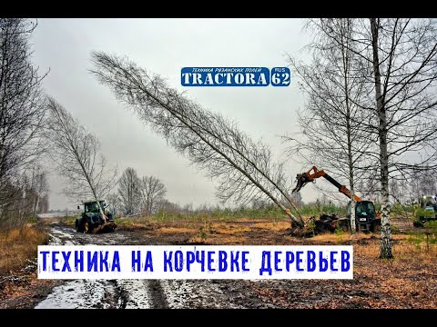 Видео: Техника на корчевке деревьев