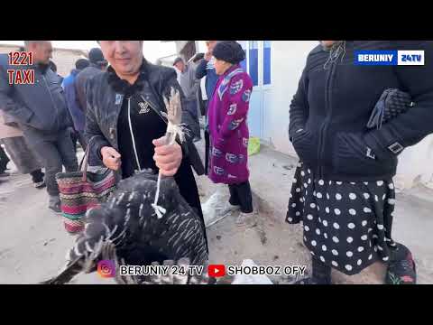 Видео: БЕРУНИЙ ТОВУК БОЗОРИ 11.11.2025