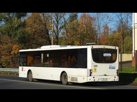 Видео: Автобус 351Б "Ж/д.ст."Новый Петергоф".-ж/д.ст."Старый Петергоф".