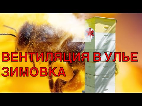 Видео: УСПЕШНАЯ ЗИМОВКА Вентиляция.