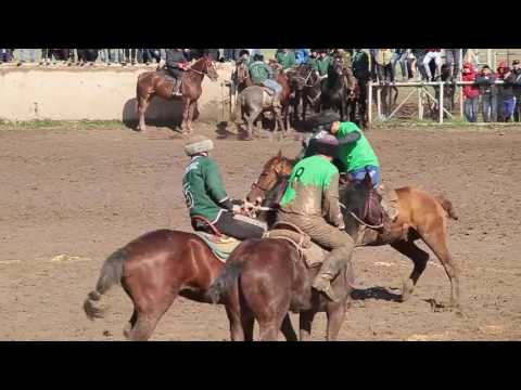 Видео: Кара Балта - Кең Талас 1/8 2016 /Нооруз/Көкпар/Кок-бору кен Кокпар