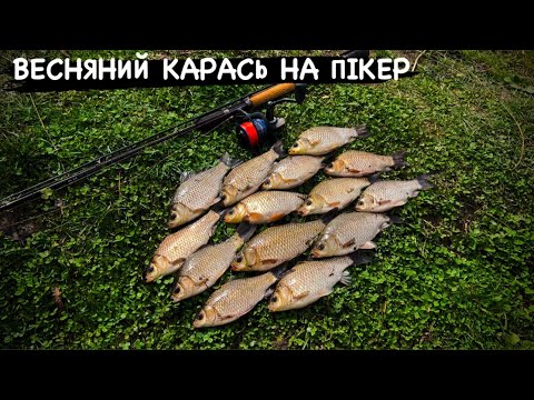 Видео: КАРАСЬ НА ПІКЕР ВЕСНОЮ|Flagman Sherman Pro Picker 270 5-30г