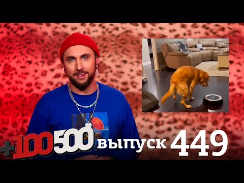 Видео: +100500 | Выпуск 449