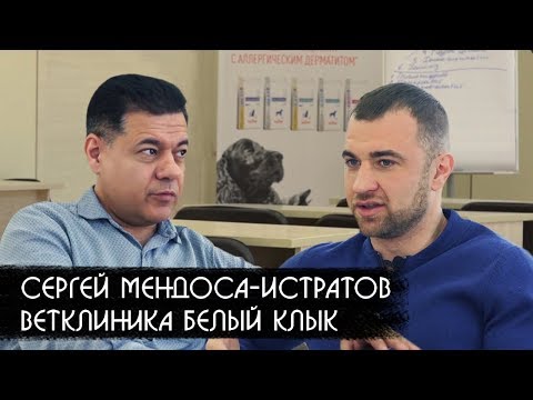 Видео: Интервью с Сергеем Леонардовичем Мендоса-Истратовым - совладельцем сети ветклиник "Белый клык"
