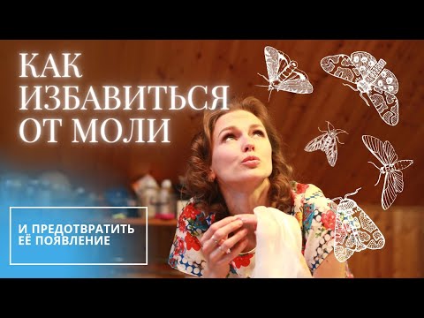 Видео: КАК ИЗБАВИТЬСЯ ОТ МОЛИ. И ПРЕДОТВРАТИТЬ ЕЕ ПОЯВЛЕНИЕ