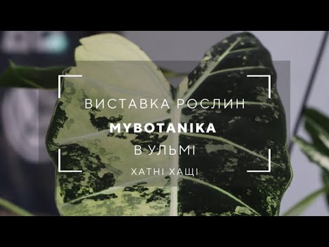 Видео: Огляд рослин на виставці MyBotanika в Ульмі. Виставка рослин у Німеччині.