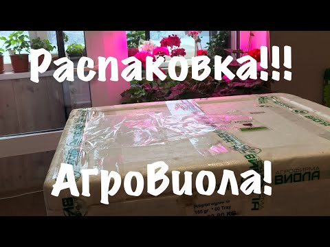 Видео: Распаковка!!! АгроВиола!