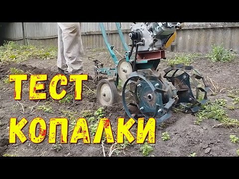 Видео: ТЕСТ. Копалка для мотоблока. ПЕРВЫЙ  раз копаем картошку.