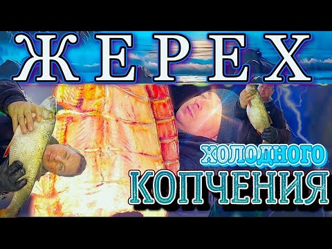 Видео: ЖЕРЕХ ХОЛОДНОГО КОПЧЕНИЯ Такого точно так не делали