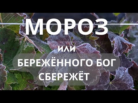 Видео: Мороз    или бережёного бог бережёт   Часть 2