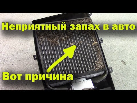 Видео: Демонтаж испарителя кондиционера на  Nissan Almera16.