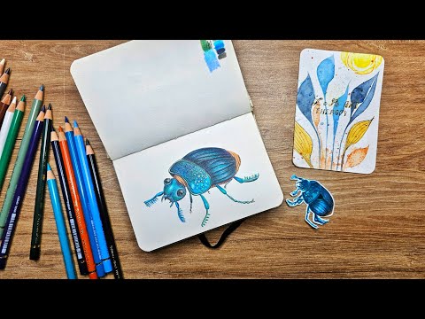 Видео: Цветные карандаши их сравнение разных марок и серий. Урок рисования готовой иллюстрации жука #арт