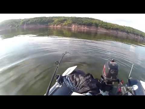 Видео: Камские Просторы. Сом 94,5 кг