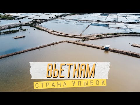 Видео: ЛОВИМ и ЕДИМ КРАБОВ, ФУГУ, МОЛЛЮСКОВ во Вьетнамской глубинке! Путешествие по Вьетнаму 2022.