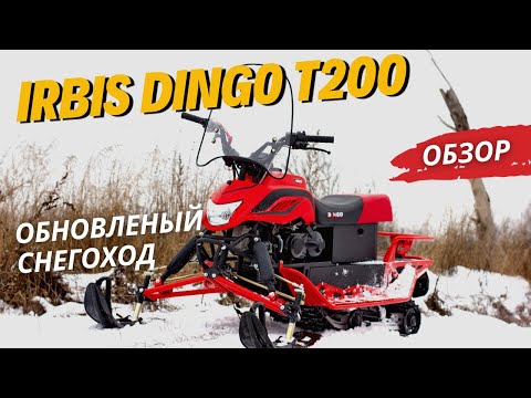 Видео: ОБЗОР обновленного снегохода IRBIS DINGO T200 текущего сезона от X-MOTORS! 🔥🔥🔥