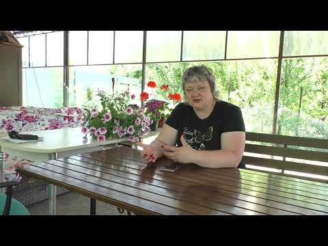 Видео: Пр просьбе -  Нужен ли адвокат? -С чего начать чтоб оформить приёмную семью