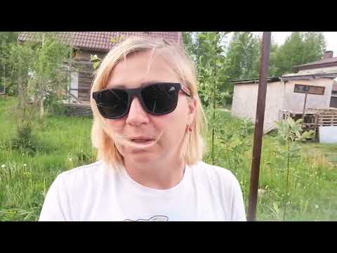 Видео: Мини экскаватор в работе, бурим лунки под столбы для забора и другое