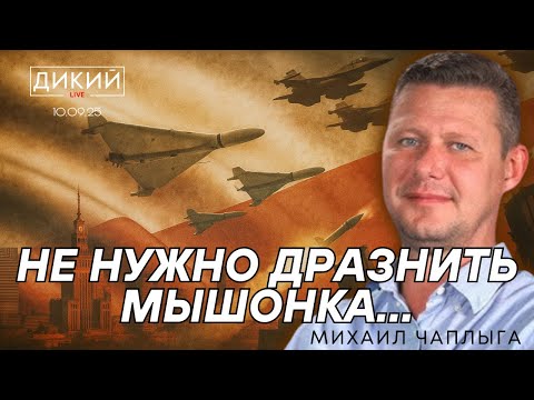 Видео: ПОЛЬСКИЙ ЗAЛЕТ, ИЛИ ВЯЛЫЕ «ДРУЗЬЯ». МИХАИЛ ЧАПЛЫГА ДЛЯ ДИКИЙ LIVE