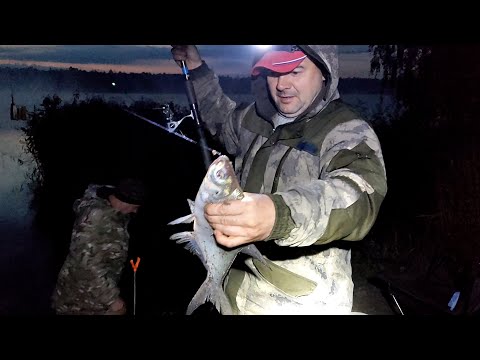 Видео: Как поймать Леща в Сентябре !!! (оз.Ломпадь)