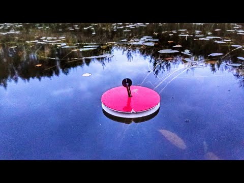 Видео: Рыбалка на кружки и спиннинг  Ловля щуки осенью с лодки