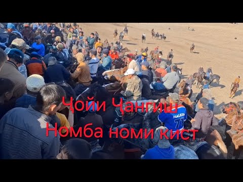 Видео: дар д Қашқараҳа н Ёвон бузи калон