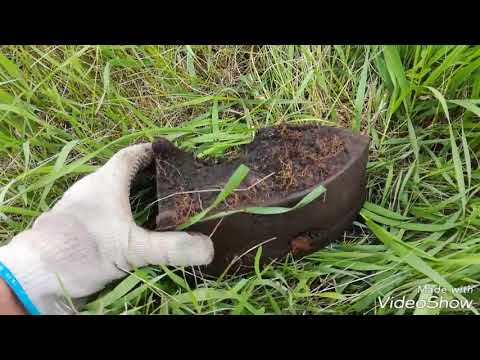 Видео: Просто не реальный коп металла, мечта любого копателя.