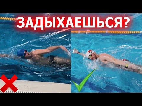 Видео: Дыхание в кроле | Как не уставать при плавании 2| Как дышать