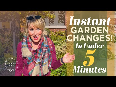 Видео: Возьмите 5 ✋ Пять задач менее чем за пять минут в осеннем саду 🌿