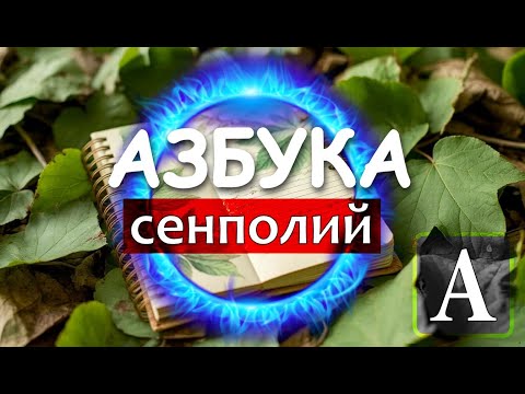 Видео: Азбука СЕНПОЛИЙ - А