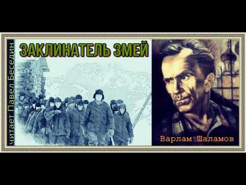 Видео: Колымские рассказы Варлама Шаламова —читает Павел Беседин