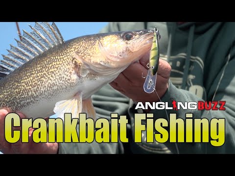 Видео: AnglingBuzz Show 11: Ловля на крэнкбейт