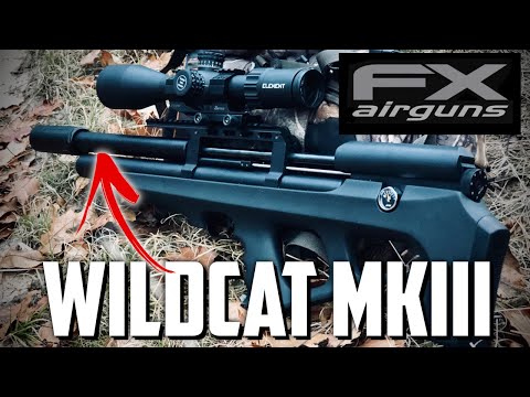 Видео: FX Wildcat MKIII Compact: идеальная пневматическая винтовка для охоты в лесу