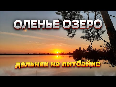 Видео: ДАЛЬНЯК НА ПИТБАЙКЕ. Оленье озеро
