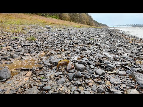 Видео: Начинаю ловить налима на донки.Попался один небольшой налимчик