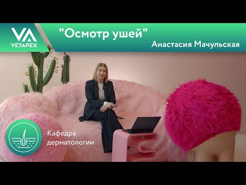 Видео: Кафедра Дерматологии "Осмотр ушей"