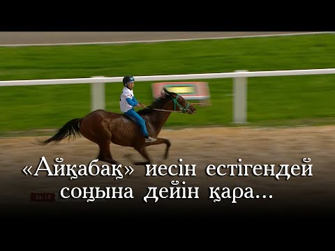 Видео: АЛАМАНДА БІРІНШІ КЕЛГЕН «АЙ-ҚАБАҚ»!!!, ат жарыс, Қазанат, Айқабақ, Астана 2024, Жұмыртұяқ, Қарағыз,