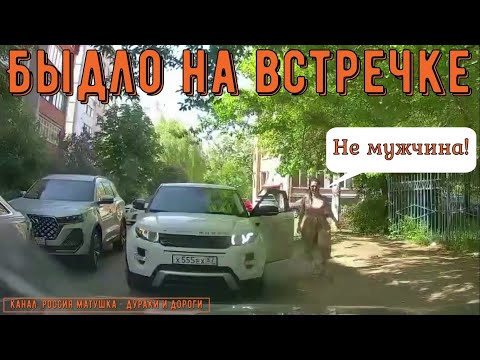Видео: Быдло на встречке #192! Подборка на видеорегистратор!