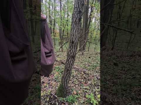 Видео: 30 октября 2025 г.