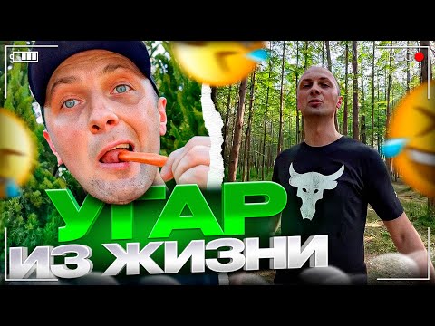 Видео: УГАР ИЗ ЖИЗНИ #31 | В МИРЕ ЖИВОТНЫХ!