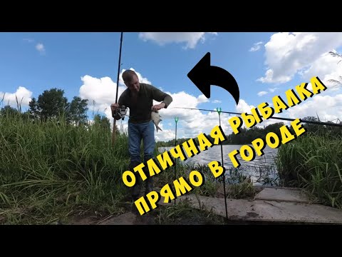 Видео: Супер рыбалка прямо в городе на реке Охта...